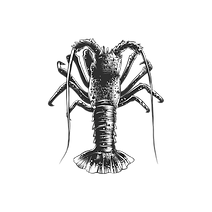 Lobster